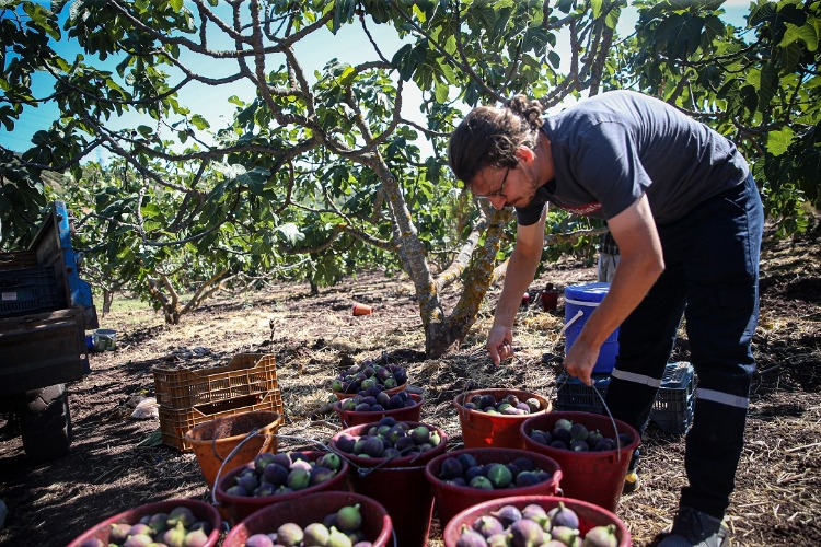 Dürdane Mahallesi: Bursa Siyahının Kalbi