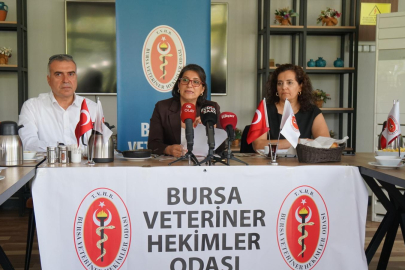 Kuduz yüzde 99 ölümcül, aşıyla yüzde 100 önlenebilir