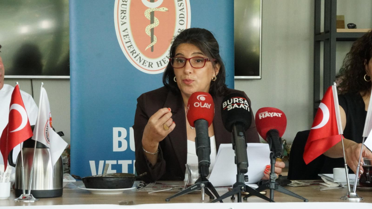 Kuduz yüzde 99 ölümcül, aşıyla yüzde 100 önlenebilir - Bursa Hayat Gazetesi-3