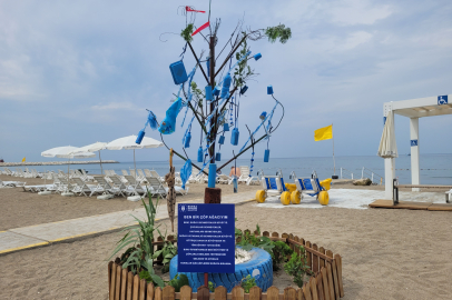 Marmara Denizi’nden çıkan atıklar sanat eserine dönüşüyor