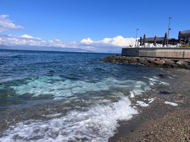 “Marmara'yı atık çukuru gibi kullandık şimdi bedelini ödüyoruz” - Bursa Hayat Gazetesi-2