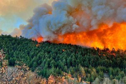 Mimarlar Odası uyardı: Yangınlar doğal değil, afet yönetimindeki eksikliklerin sonucu