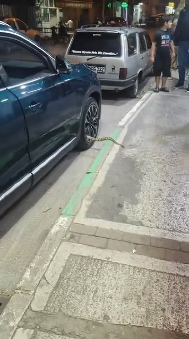 Bursa'da mahalle sakinlerini şaşkına çeviren olay!-Bursa Hayat Gazetesi-3