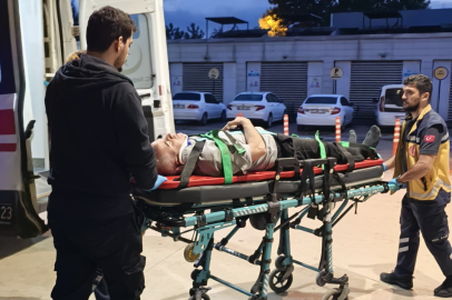Bursa'da ceviz toplamak için çıktığı ağaçtan düşerek ağır yaralandı
