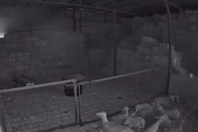 Bursa’da korkutan yangın! Kundaklama şüphesi var