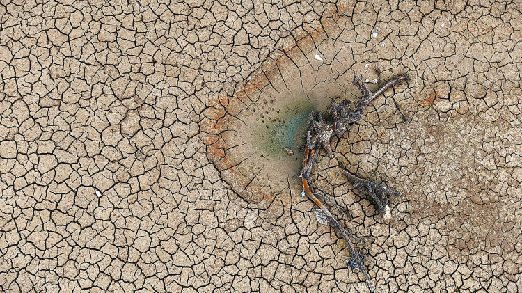 Bursa Ovası'nda kritik durum! Gölbaşı ve Demirtaş Barajları kurudu -Bursa Hayat-5