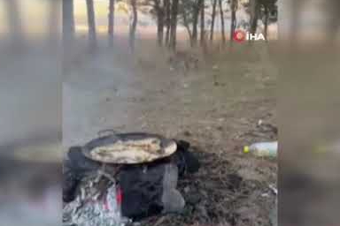 Kars'ta tilkiler yerleşim yerlerinde cirit atıyor