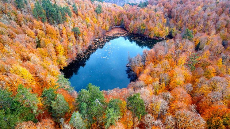 'Milli Parklar' Meclis gündeminde! Hapis ve para cezası yolda -Bursa Hayat-4
