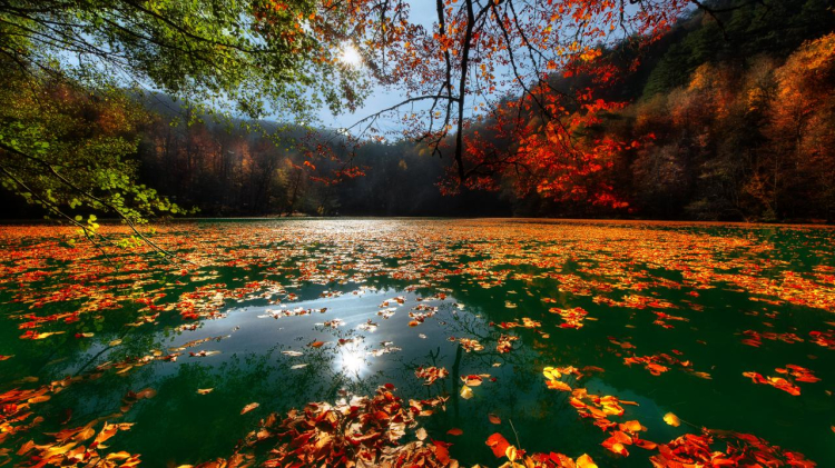 'Milli Parklar' Meclis gündeminde! Hapis ve para cezası yolda -Bursa Hayat-3