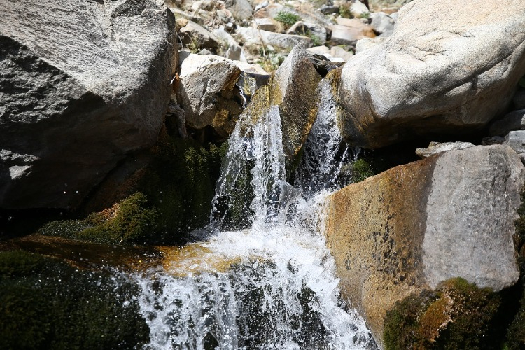 Uludağ'daki Doğal Kaynaklar da Kuruyor