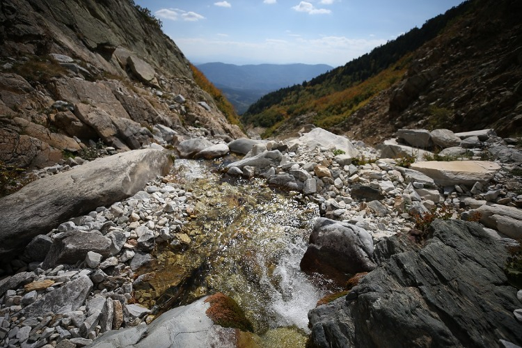 Bursa Susuzlukla Yüz Yüze