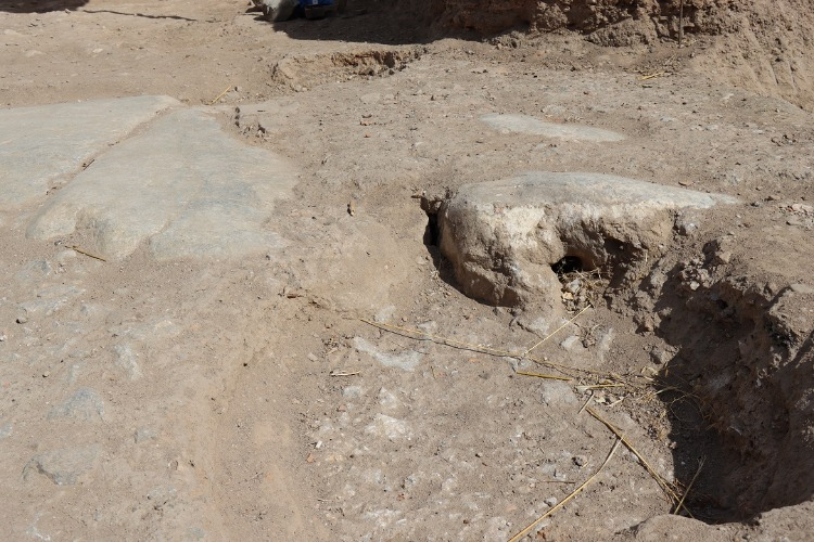 Gelecek Projeler ve Ziyaretçi İlgi