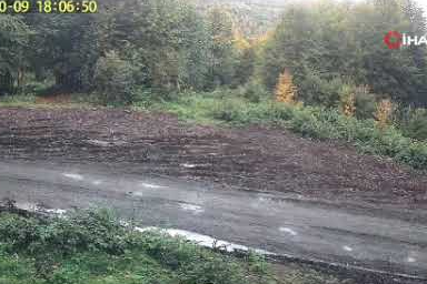 Kurt sürüsü fotokapana takıldı