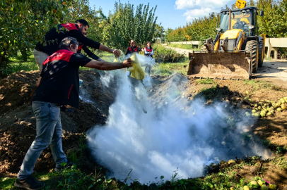 Bursa’da 40 ton armutta yasaklı ilaç tespit edildi