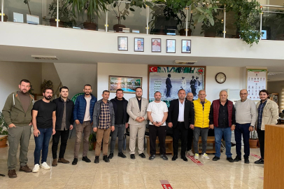 Zeytinde sofralık üretim maliyeti açıklandı