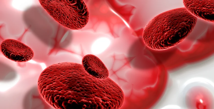 Kan pıhtılaşması (tromboz) nedir? Uzmanı anlattı...-Bursa Hayat Gazetesi-4