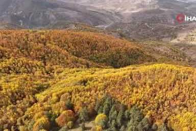Karabük ormanlarındaki sonbahar renkleri mest ediyor