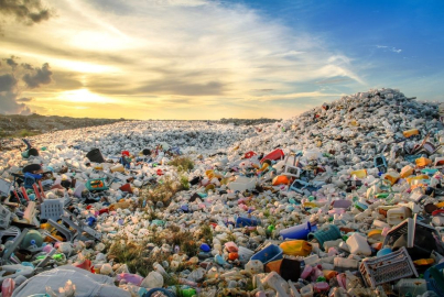 BTÜ'den çığır açan proje: Hem doğaya hem bütçeye kazandıracak!