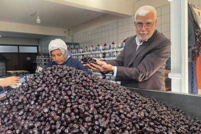 Bursa Gemlik’in siyah altını İsviçre sofralarını süslüyor