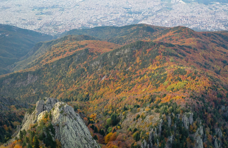 Uludağ ormanları sonbaharda renk cümbüşüyle büyülüyor -Bursa Hayat-2