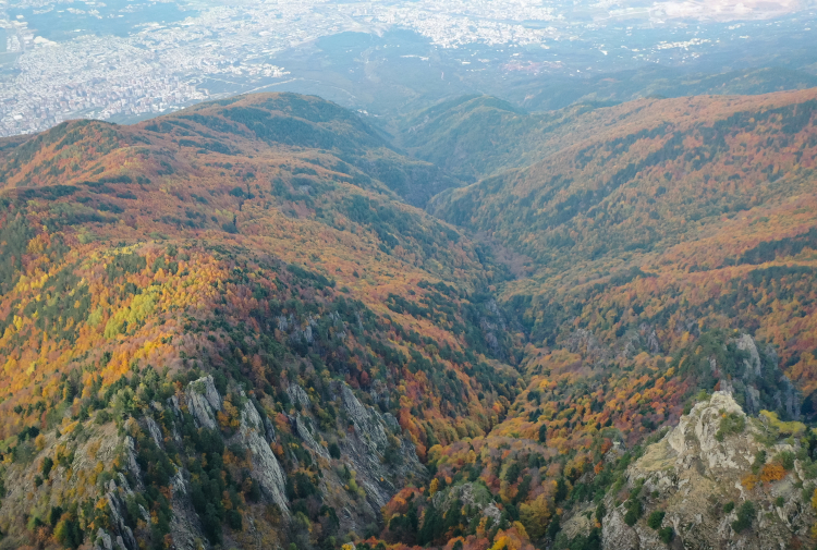 Uludağ ormanları sonbaharda renk cümbüşüyle büyülüyor -Bursa Hayat-4