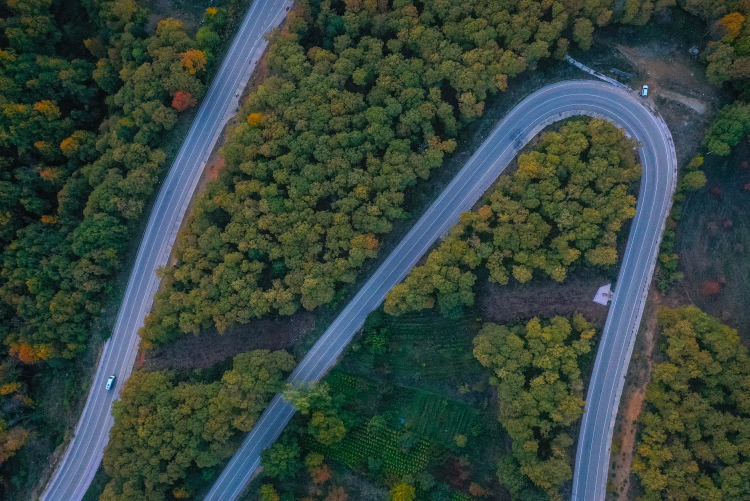 Uludağ ormanları sonbaharda renk cümbüşüyle büyülüyor -Bursa Hayat-5