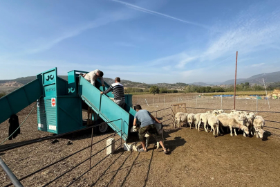 İnegöl Belediyesi'nden Bursa tarımına güç katan uygulama