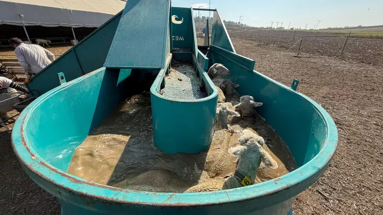 İnegöl Belediyesi'nden Bursa tarımına güç katan uygulama - Bursa Hayat Gazetesi-4