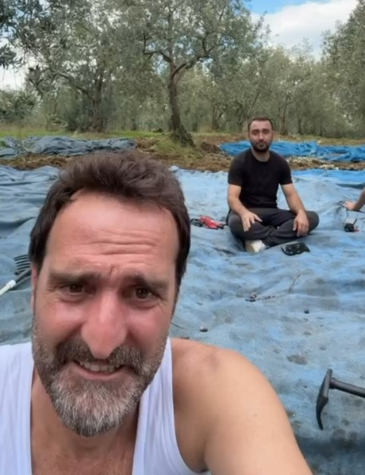 Sette değil zeytinlikte! Ünlü oyuncu Timur Acar Bursa’da zeytin topladı -Bursa Hayat-2