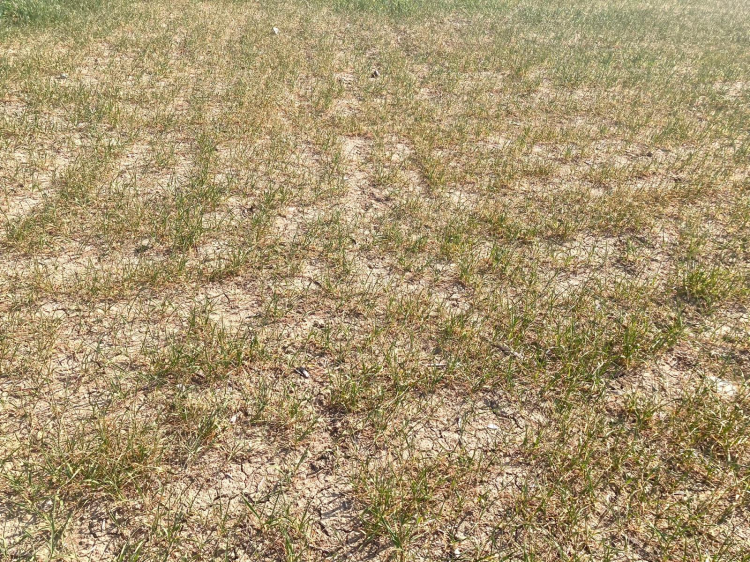 Bursa’da “Su fakiri bir ülkeye döndük” diyerek uyarılarda bulundu - Bursa Hayat Gazetesi-5