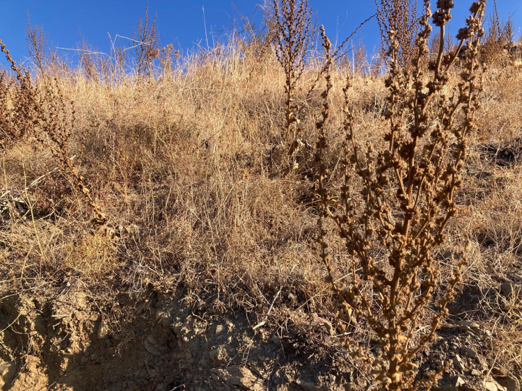 Bursa’da “Su fakiri bir ülkeye döndük” diyerek uyarılarda bulundu - Bursa Hayat Gazetesi-4