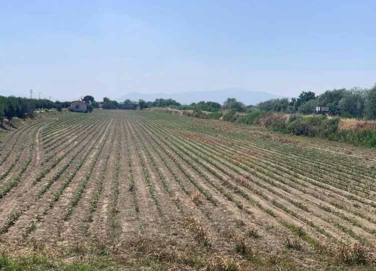 Bursa’da “Su fakiri bir ülkeye döndük” diyerek uyarılarda bulundu - Bursa Hayat Gazetesi-2