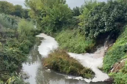 Bursa halkı endişeli! Karsak Deresi alarm veriyor