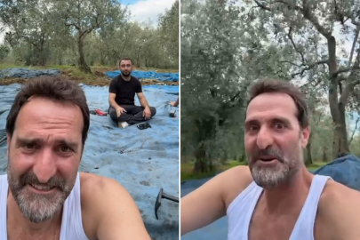 Sette değil zeytinlikte! Ünlü oyuncu Timur Acar Bursa’da zeytin topladı