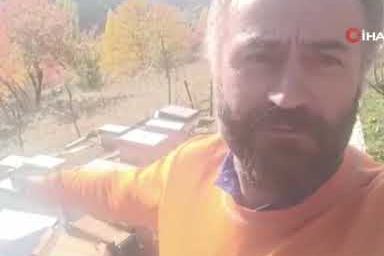 Boz ayılar Yedigölleri savaş alanına çevirdi