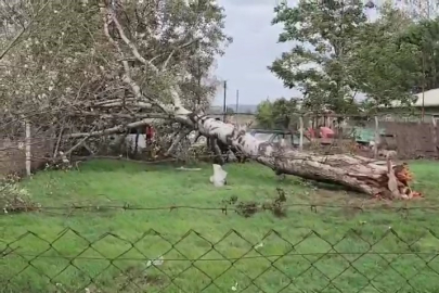 Bursa’da şiddetli lodos ortalığı savaş alanına çevirdi