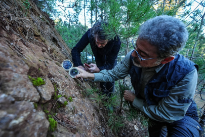 Sındırgı’daki depremlerin nedeni ortaya çıktı: Ölü faylar yeniden dirildi