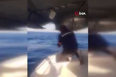Akdeniz'de teknenin çapa halatına dolanan köpekbalığı balıkçılara korku dolu anlar yaşattı