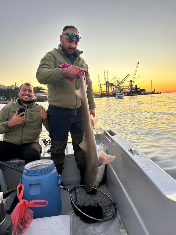 Bursa’da şaşırtan av! Dev Köpek Balığı ağlara takıldı -Bursa Hayat-2