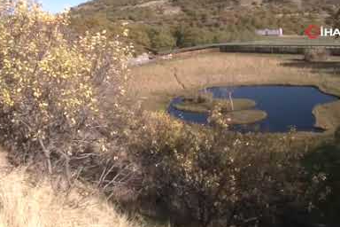 Yüzen Adalar'da sonbahar güzelliği