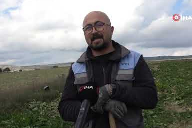 Kastamonu'da çiftçilerin zorlu pancar mesaisi devam ediyor