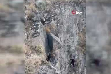 Uçurumda mahsur kalan keçi kurtarıldı