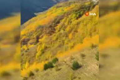 Jandarma Ardahan'ın doğal güzelliklerini paylaştı