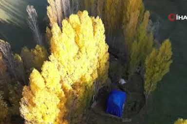 Bitlis'te seyrine doyulmaz sonbahar güzelliği