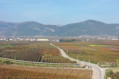 Uzmanlardan uyarı: Bursa’da yer altı suları kritik seviyede!