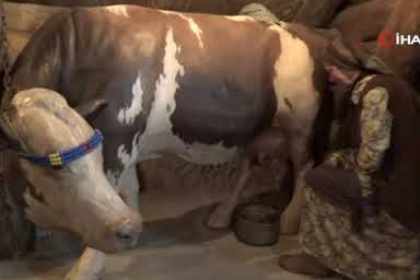 Kars Peynir Müzesi yoğun ilgi görüyor