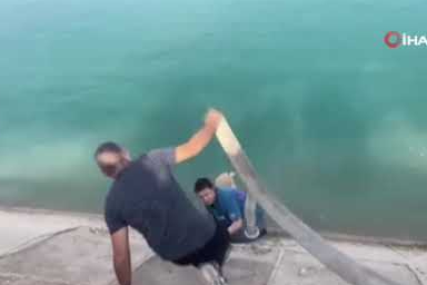 Bursalı aile Fırat'a düşen kangalı böyle kurtardı!