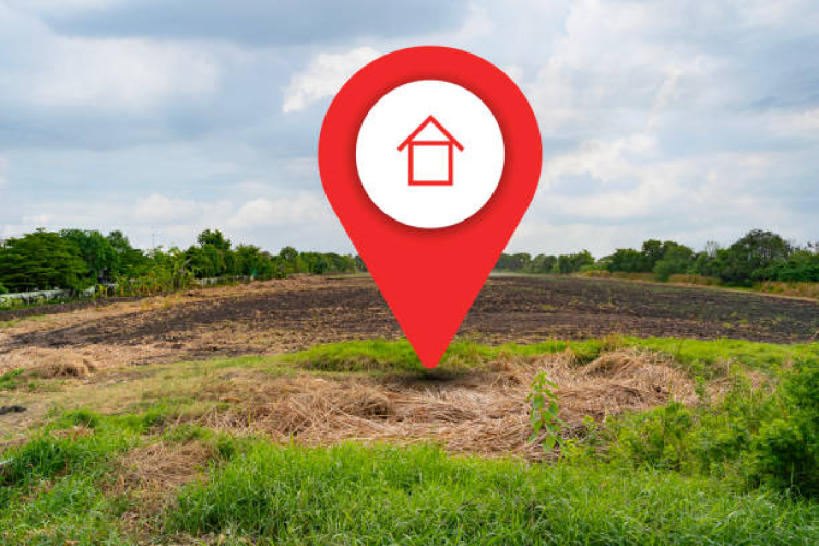 Konut, altın ve dövizi unutun! Yatırımcıların yeni gözdesi belli oldu - Bursa Hayat Gazetesi-2