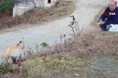 Pimbilona Yaylası’nda sıra dışı dostluk