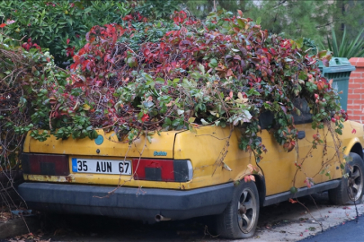 Kendi bahçesini yaratan terk edilmiş taksi çekildi